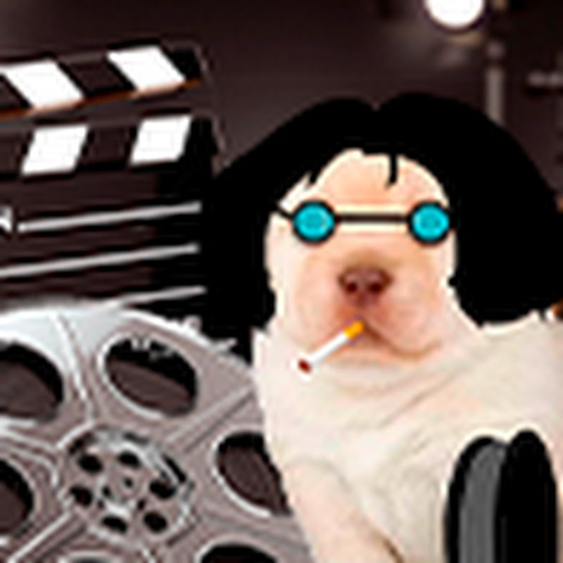 ElPerroCinéfilo