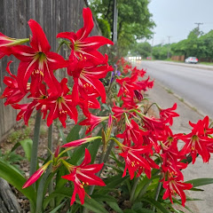 MajesticT channel thumbnail