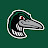 Great Lakes Loons