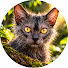 30_Mxoq833Y-channel-avatar-Earth's Rarest