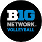 Big Ten Volleyball logo