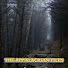 QB2a4gwXI9E-channel-avatar-Appalachia Files