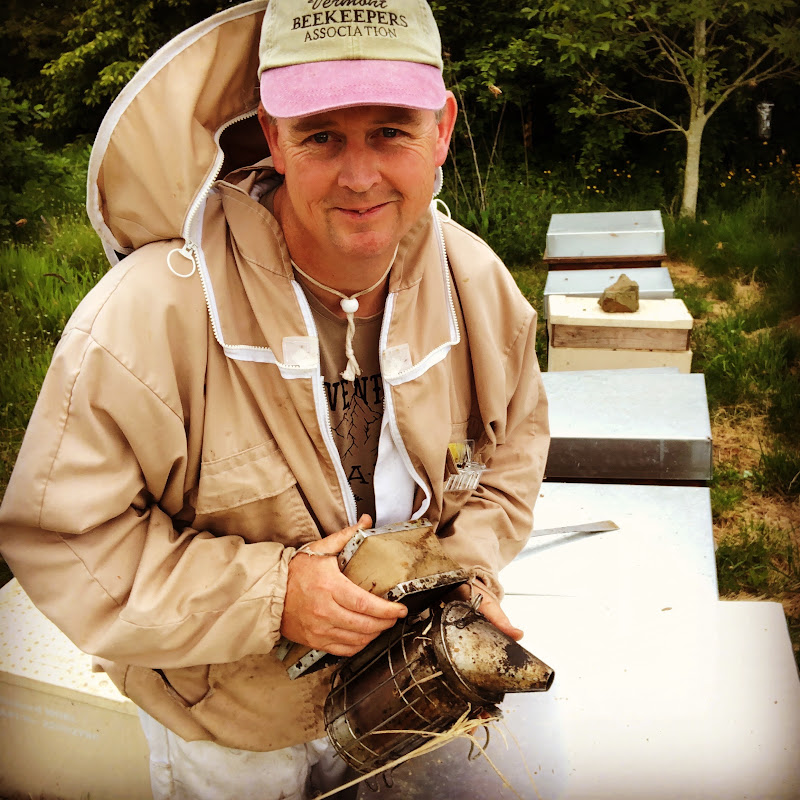 Richard Noel: Bees In Brittany