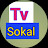 TV Sokal