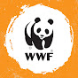 WWF Wild Classroom logo