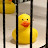 @user-SgHDr217 Avatar