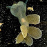 6kZcSWrrN9g-channel-avatar-Velser