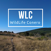 WildLife Conero