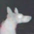 Yr1uwAkI4vg-channel-avatar-SCARIES
