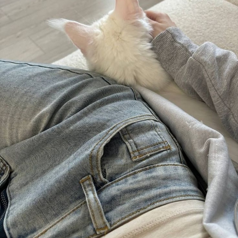 ࢪوࢪو الحِلبيههۃةِ ١.