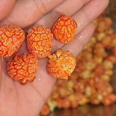 BAOMIHUA