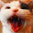 yNN_AY3MymM-channel-avatar-frittiert