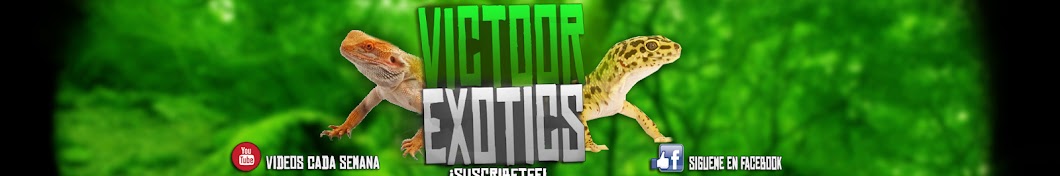 Victoor Exotics Awatar kanału YouTube
