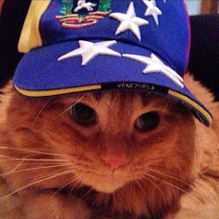 ALFONZUU