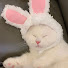 VwZpMqJhu1E-channel-avatar-buns vods