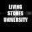 Living Stones University