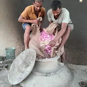 Attar Kannauj YouTube channel