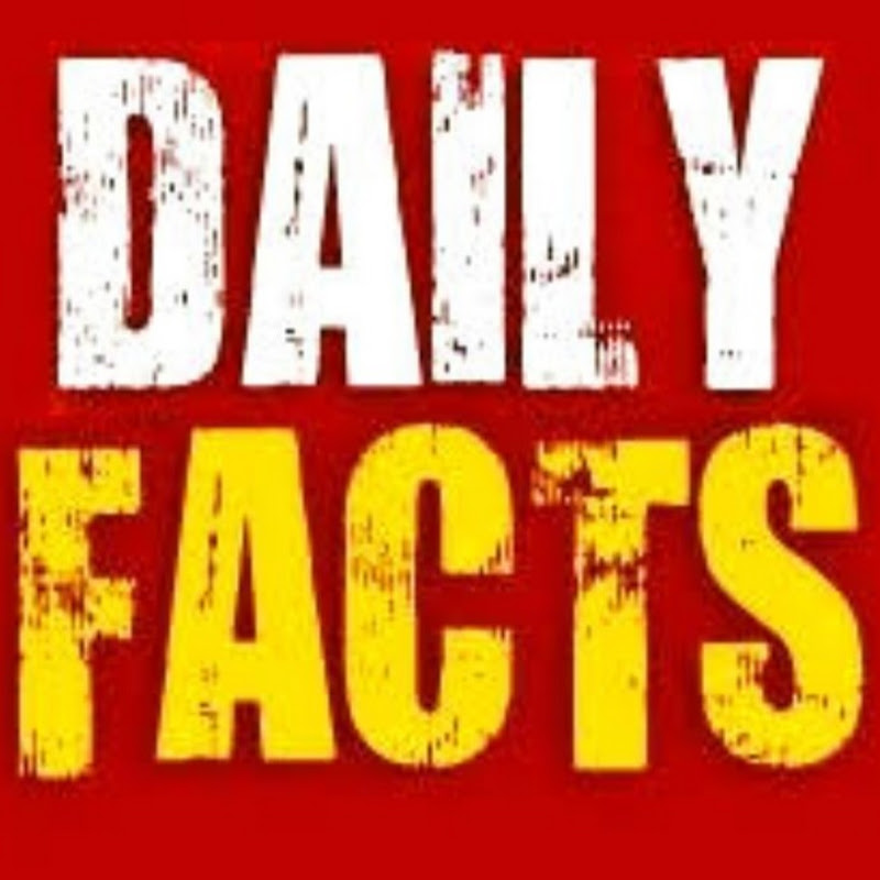 daily facts fan club