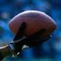 Kff1SKweWug-channel-avatar-Sports !