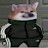 @doge_gaming677