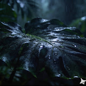 Mindful Ambience