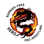 HERO BARRIER-FREE PRO-WRESTLING-バリアフリープロレス-