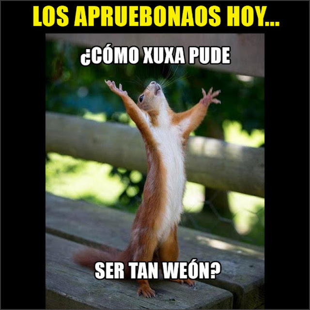 kfQfuA9Mc0fPquSbS5kKYwvo7CNdbq0bGDY3wSNfLrwmwnWi4Tq4sJRs-vS1WsFm1dvIyCQYqEQFNA=s640-c-fcrop64=1,00000000ffffffff-nd
