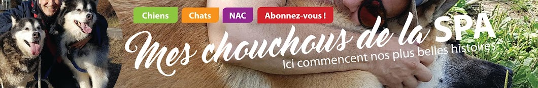 Mes chouchous de la SPA de Strasbourg رمز قناة اليوتيوب