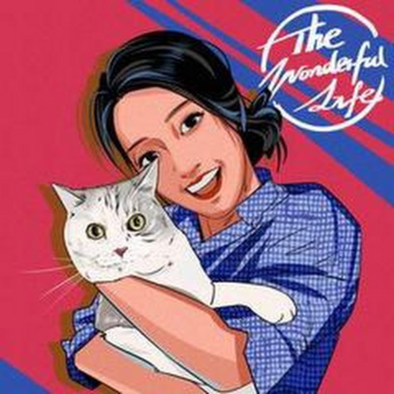 【40分钟干货】我的「有效搜索」方法论——如何用公开渠道挖掘隐藏信息