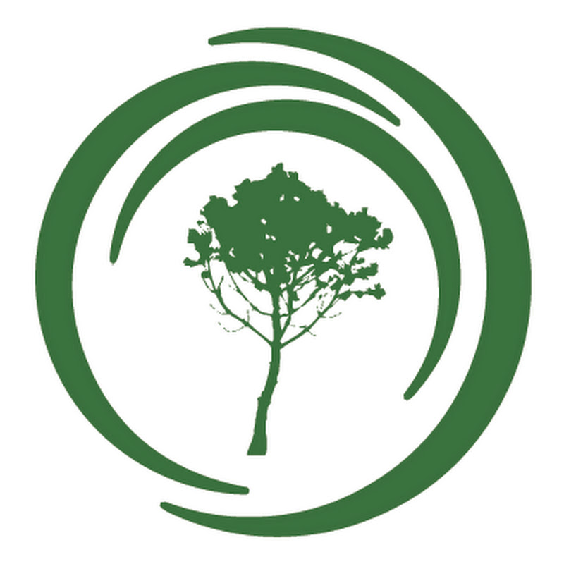 Global Forest Observations Initiative