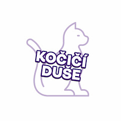 Kočičí duše