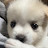 @강스톤-m8j