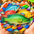 cZRko8ZcXLM-channel-avatar-Fish Sauce 