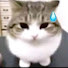 XoxZ_IcMeSU-channel-avatar-catlover:3