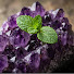 GftBYNGW7Kg-channel-avatar-Natural Wonders