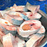aYQK23p4g3M-channel-avatar-Fish zone