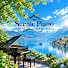 cxh9STPS9KE-channel-avatar-Scenic Piano Journey