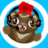 QdRAMfcjRR0-channel-avatar-Coach Ferret