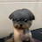 @나는우주먼지야