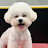 @황금돼지s.y