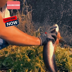 AS Fishing vlogs