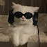 XSpy0CppFtY-channel-avatar-클로버 Clover