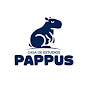 ACADEMIA PAPPUS logo