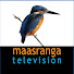 XNSDDxoLnU8-channel-avatar-Maasranga Ranga Shokal