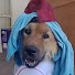 ReIulUHm8TM-channel-avatar-Sammy The Goog