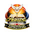 mlYuSAgc41U-channel-avatar-Agape Outreach Ministry
