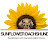 Sunflower Dachshunds