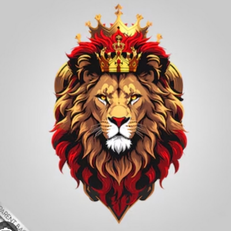 spain zone avatar