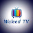 waleed TV