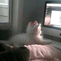 𝓔𝓴𝓲𝓫𝓲𝓷 𝓡𝓮𝓭'𝓲ヅ